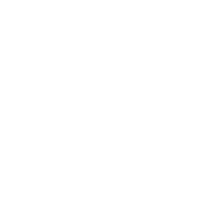 icon cruise ship